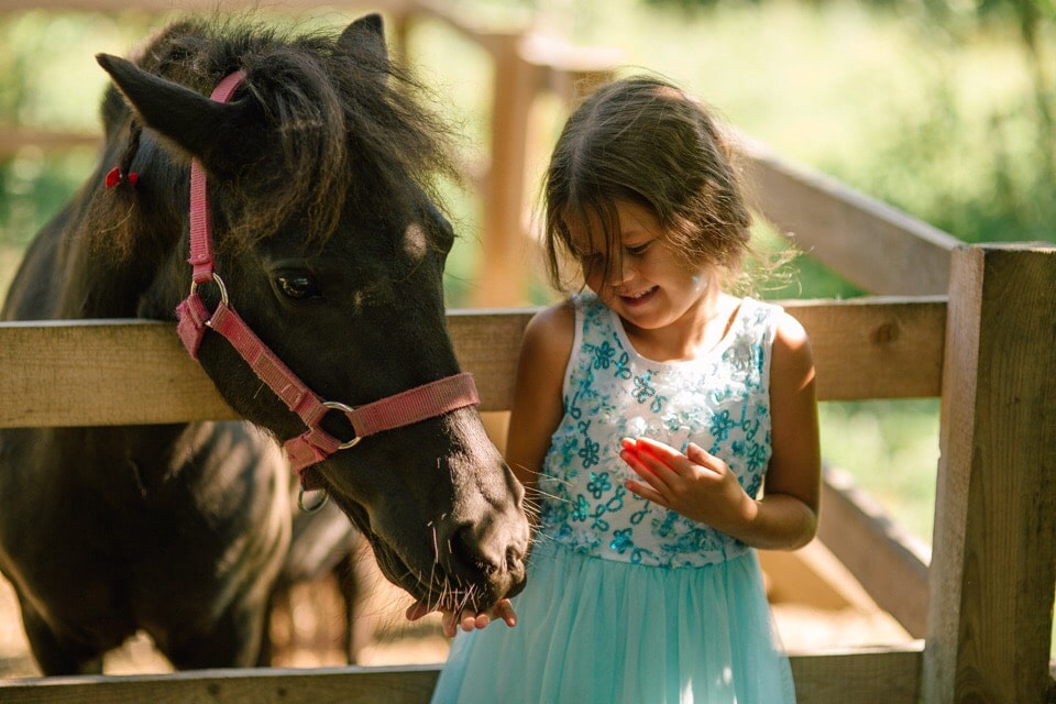 катание на лошадях для детей