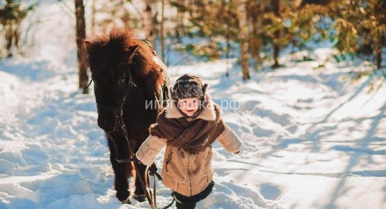 детская фотосессия на лошадях